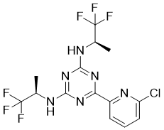 Vorasidenib