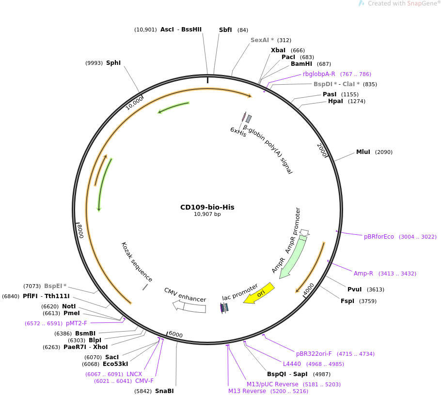 CD109-bio-His