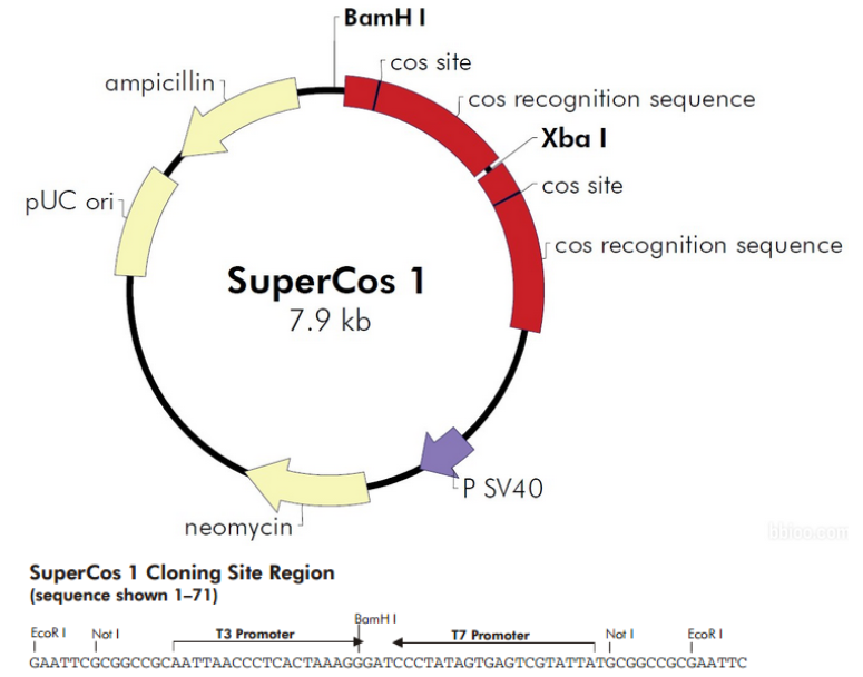 SuperCos I