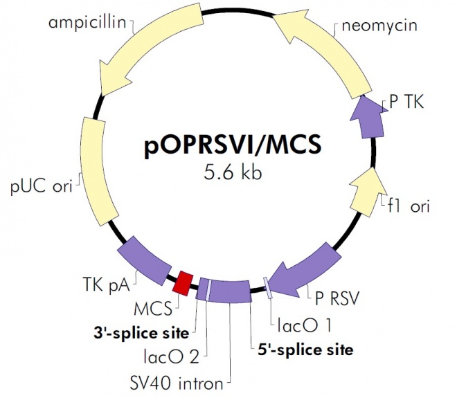 pOPRSVI