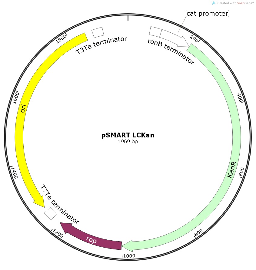 pSMART LCKan