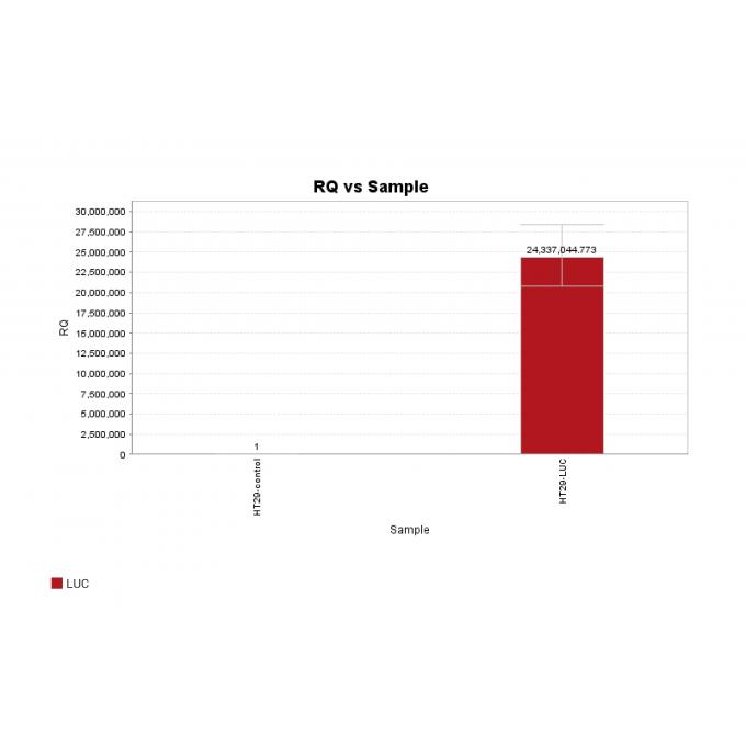 HT29-LUC