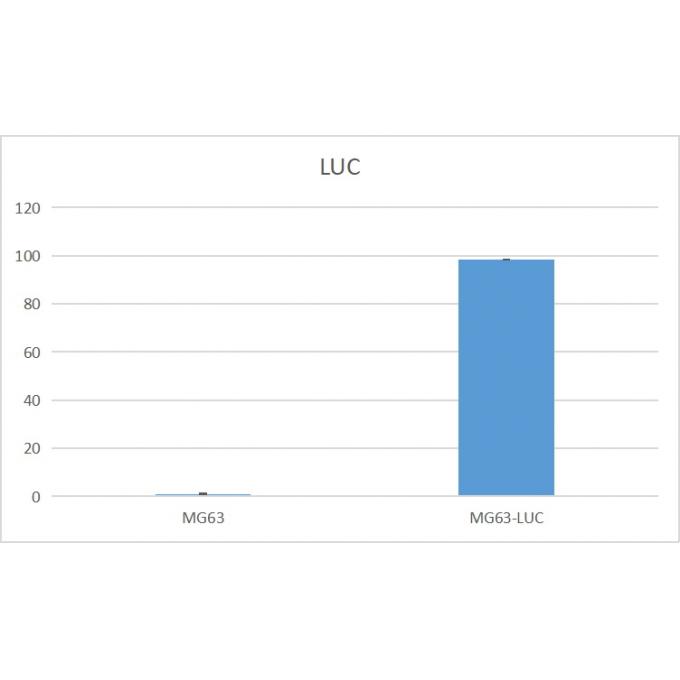 MG-63-LUC