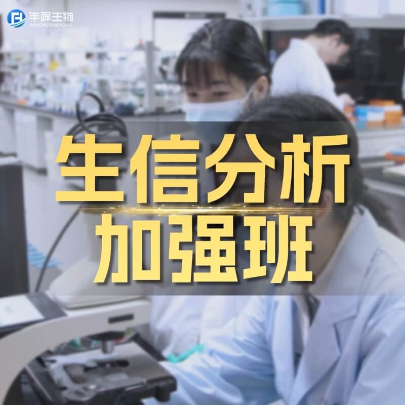 生信分析加强班(理论+实操)