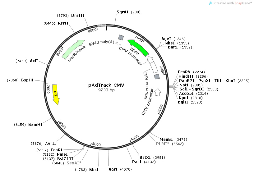 pAdTrack-CMV