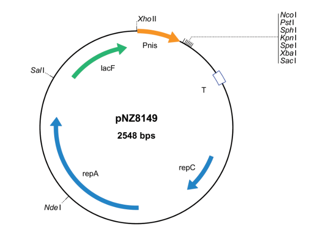 pNZ8149