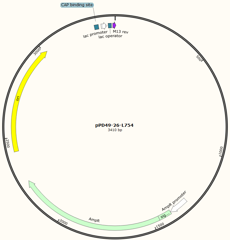 pPD49-26-L754