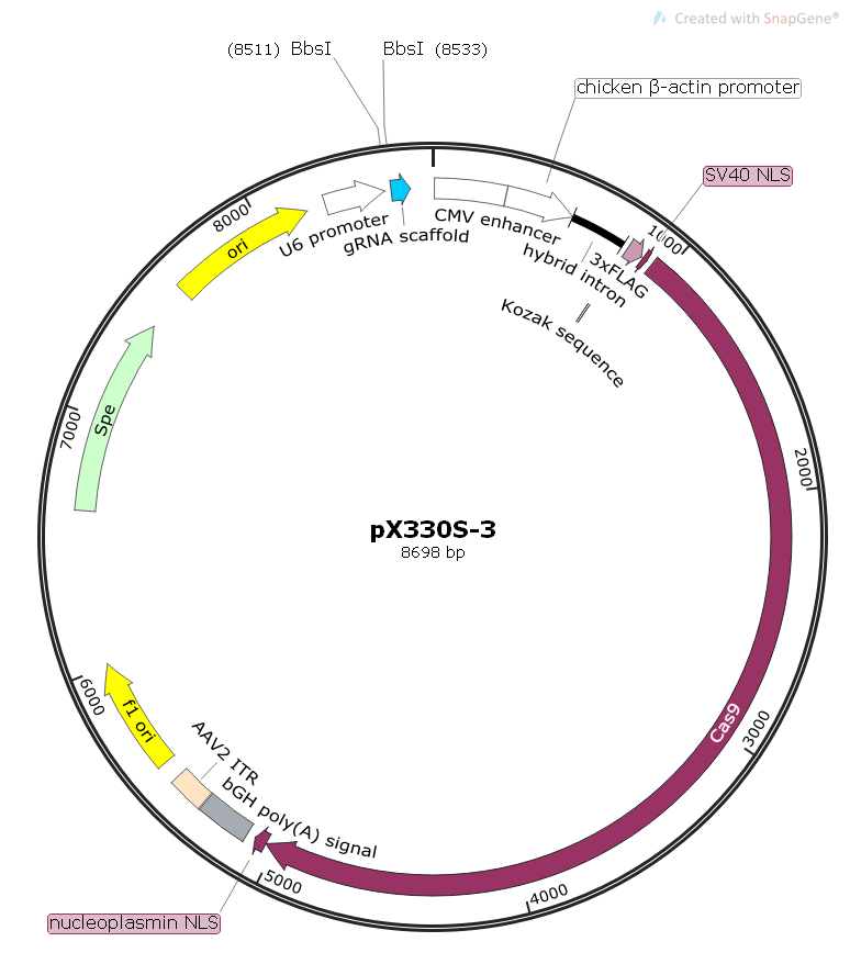 pX330S-3哺乳CAS9和gRNA表达质粒