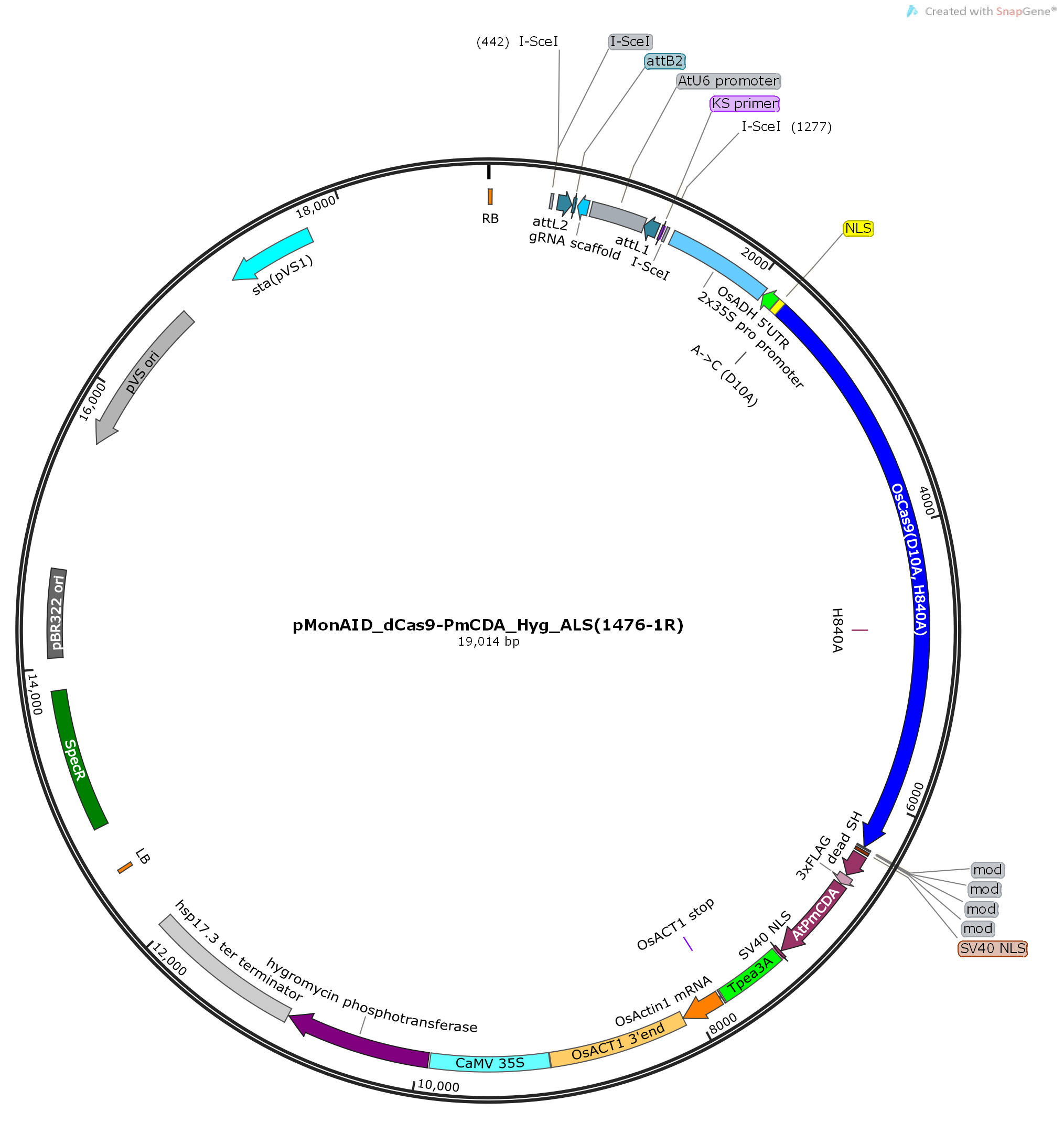 pMonAID_dCas9-PmCDA_Hyg_ALS植物dCAS9和gRNA表达质粒