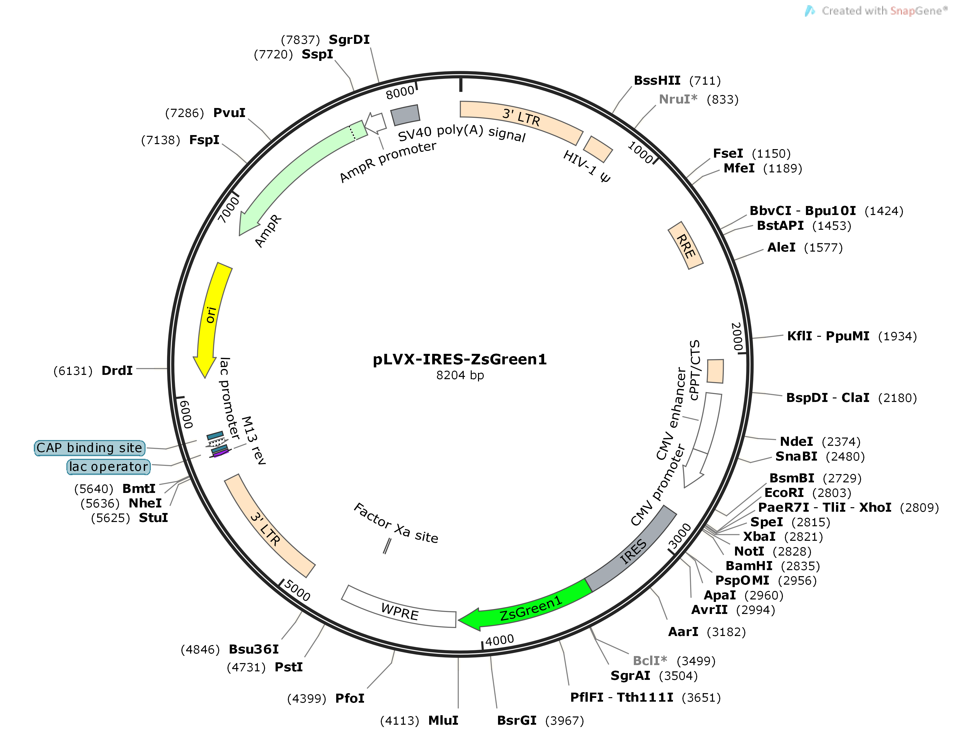 【热销】pLVX-IRES-ZsGreen1