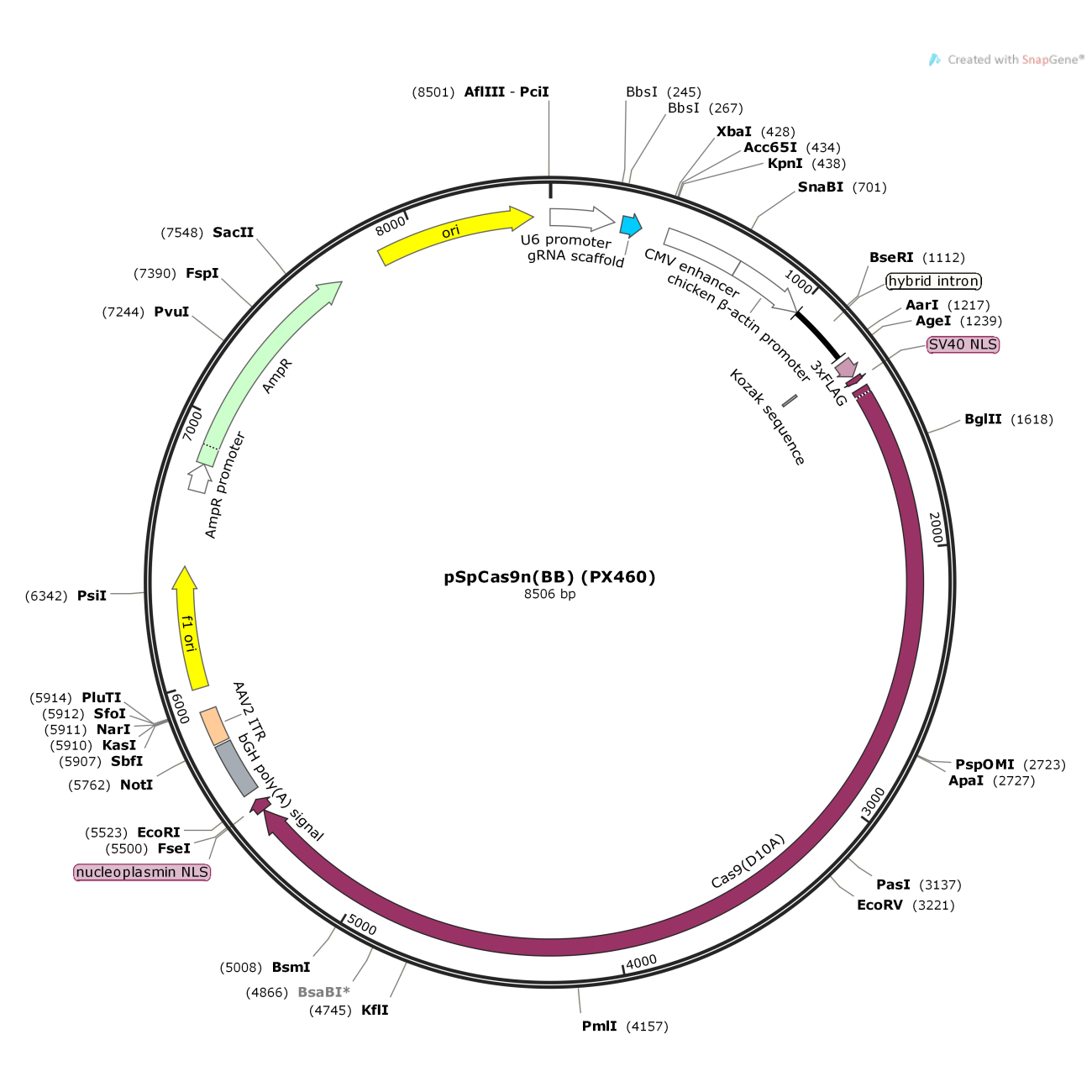 pSpCas9n(BB) (PX460)