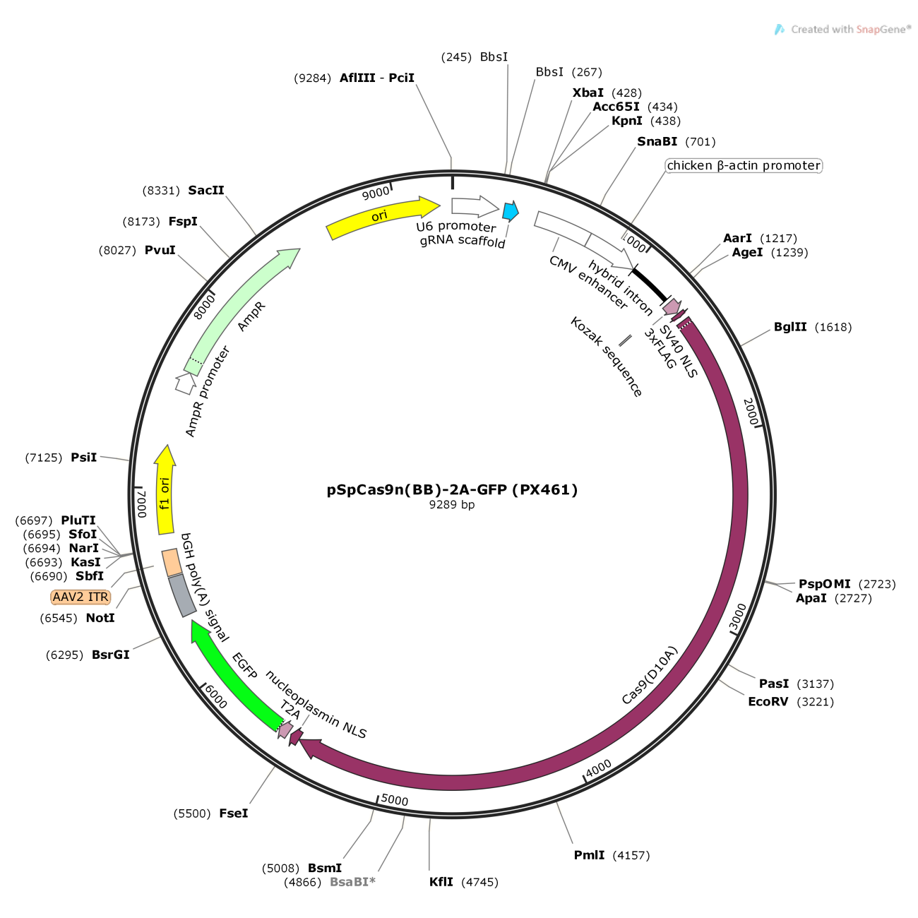 pSpCas9n(BB)-2A-GFP (PX461)