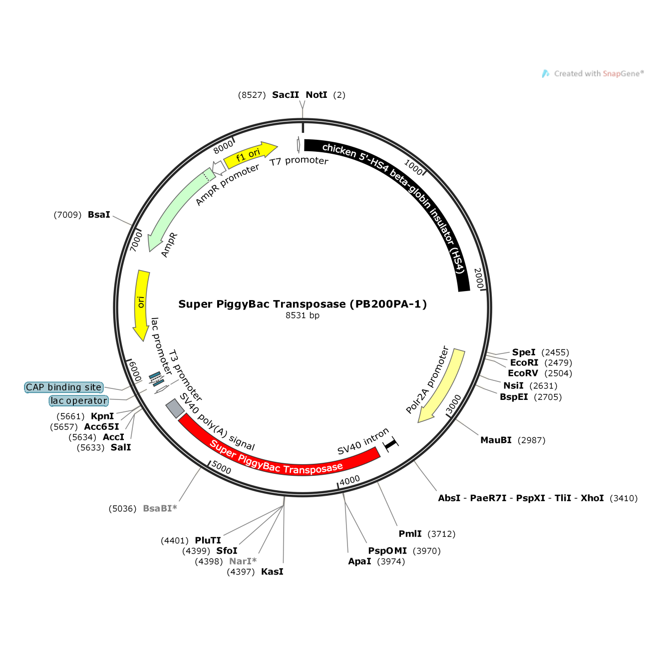 Super PiggyBac Transposase (PB200PA-1)