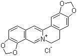 Coptisine chloride