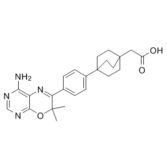 DGAT-1 inhibitor 2