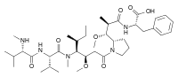 Monomethyl auristatin F (MMAF)