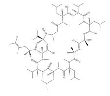 Cyclosporin D