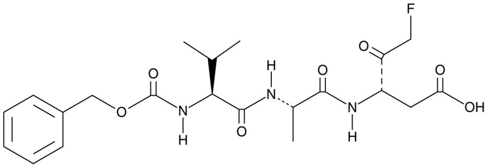 Z-VAD(OH)-FMK