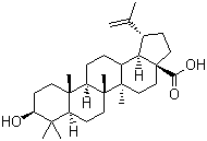 Betulinic acid