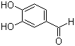 3,4-Dihydroxybenzaldehyde