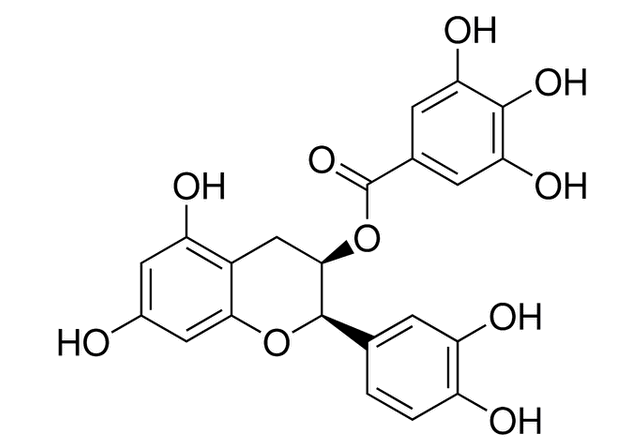 (-)-Epicatechin gallate