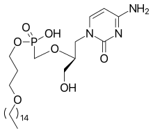Brincidofovir (CMX001)