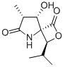 Clasto-Lactacystin b-lactone