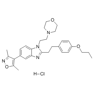 PF-CBP1