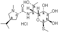 Lincomycin hydrochloride (U-10149A)