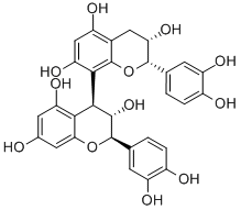 Procyanidin B3