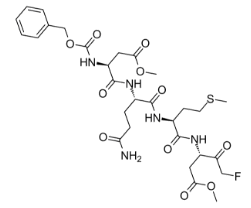 Z-DQMD-FMK