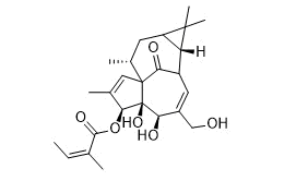 Ingenol Mebutate (PEP005)