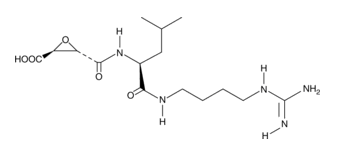 E-64