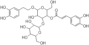 Plantamajoside