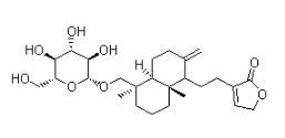 Neoandrographolide
