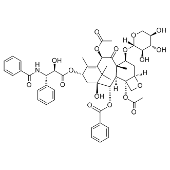 7-xylosyltaxol