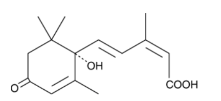 Abscisic Acid