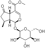 Verbenalinp