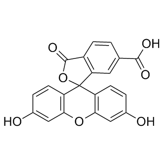 6-Carboxyfluorescein