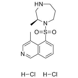 H-1152 dihydrochloride