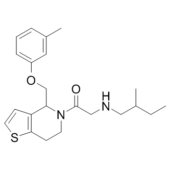 RU-SKI 43