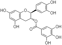 (-)-Catechin gallate