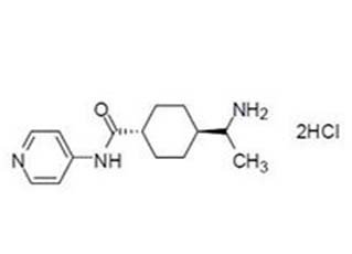 Y-27632 2HCl