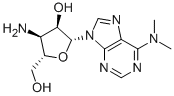Puromycin Aminonucleoside