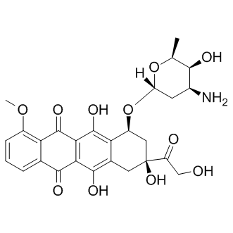 Doxorubicin