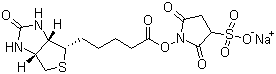 Sulfo-NHS-Biotin