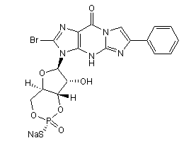 Rp-8-Br-PET-cGMPS