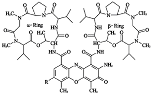 Actinomycin D