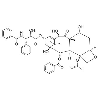 7-Epi 10-Desacetyl Paclitaxel