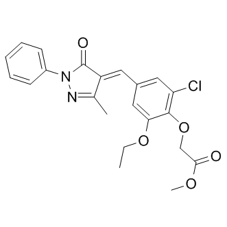 SJ 172550